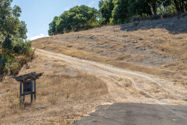 a view of a mountain with a forest