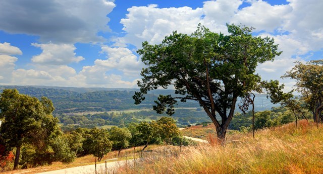 226 Heights Trail Kerrville, TX 78028 - Photo 9 of 14
