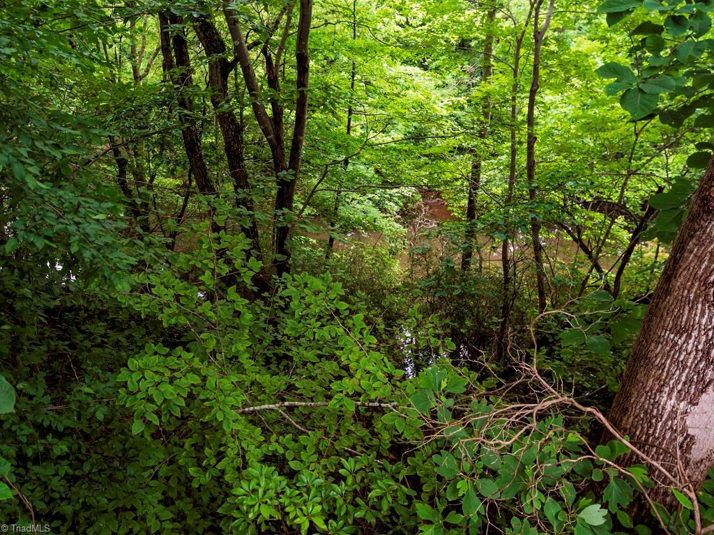 3730 Cedar Springs Road Randleman, NC 27317 - Photo 17 of 18