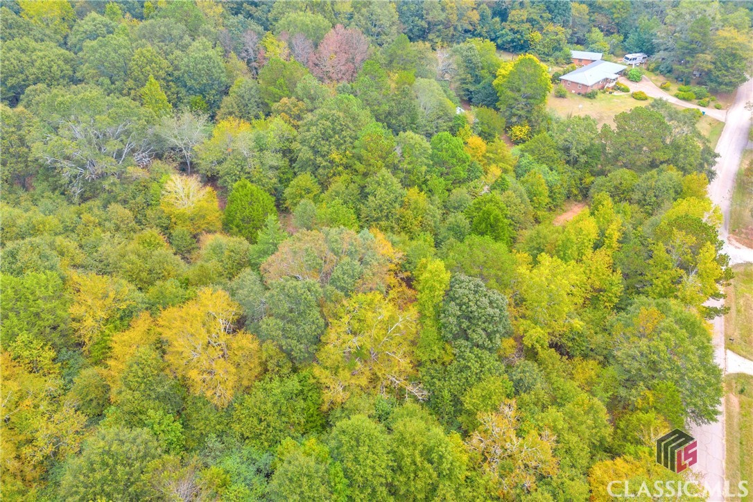 0 Cedar Nicholson, GA 30565 - Photo 9 of 17