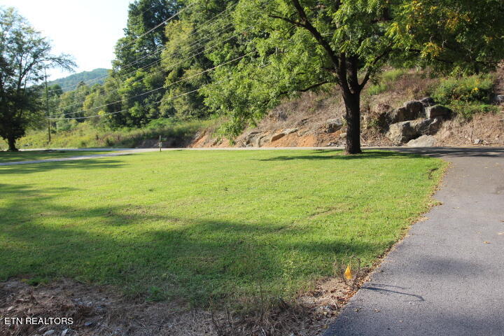 852 Wears Valley Road Townsend, TN 37882 - Photo 4 of 31 852 Wears Valley 004