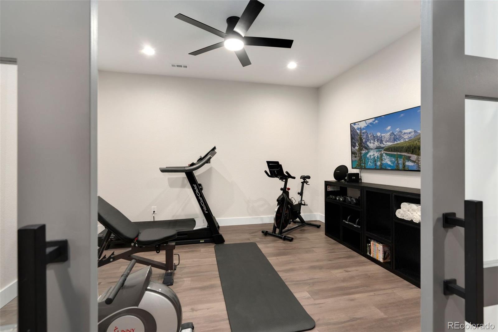 5475 Trade Wind Drive Windsor, CO 80528 - Photo 37 of 40 a living room with furniture a flat screen tv and a ceiling fan