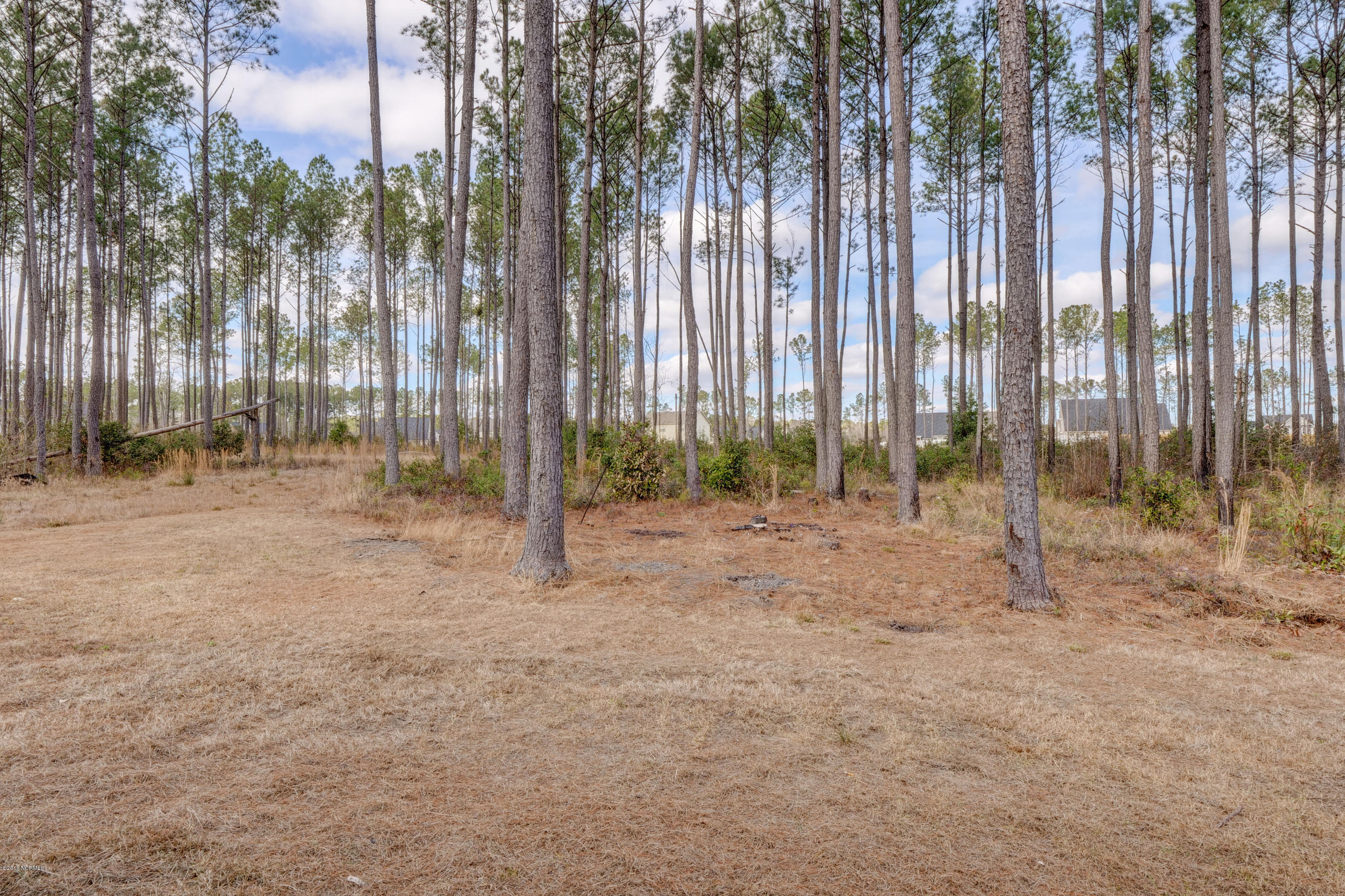 1390 Gould Road Jacksonville, NC 28540 - Photo 28 of 30 1390 Gould Rd Jacksonville NC-print-028-