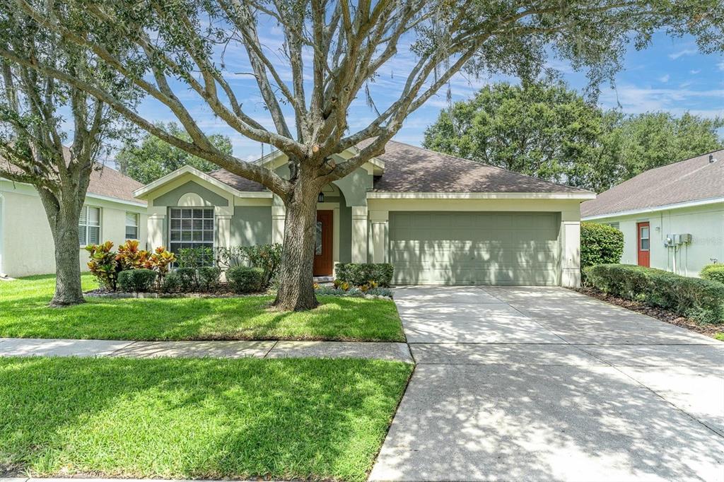5529 Terrain De Golf Drive Lutz, FL 33558 - Photo 1 of 51 a front view of a house with garden