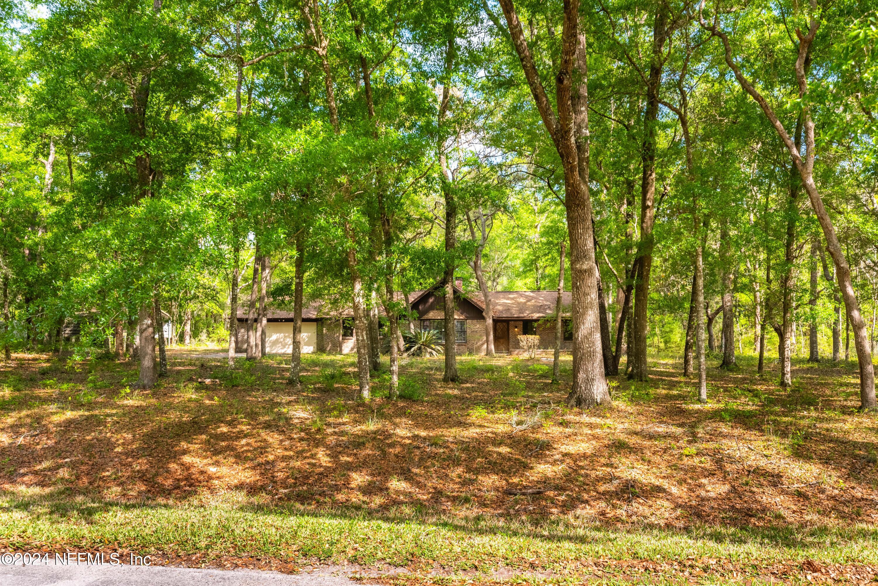 4194 Chokeberry Road Middleburg, FL 32068 - Photo 2 of 30 4194 Chokeberry Rd-6