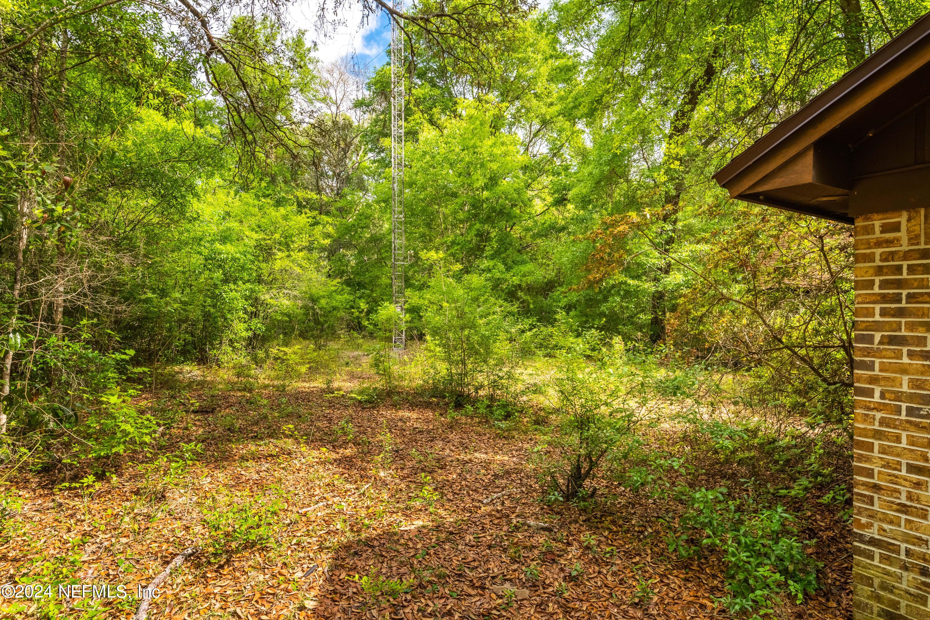 4194 Chokeberry Road Middleburg, FL 32068 - Photo 24 of 30 4194 Chokeberry Rd-29