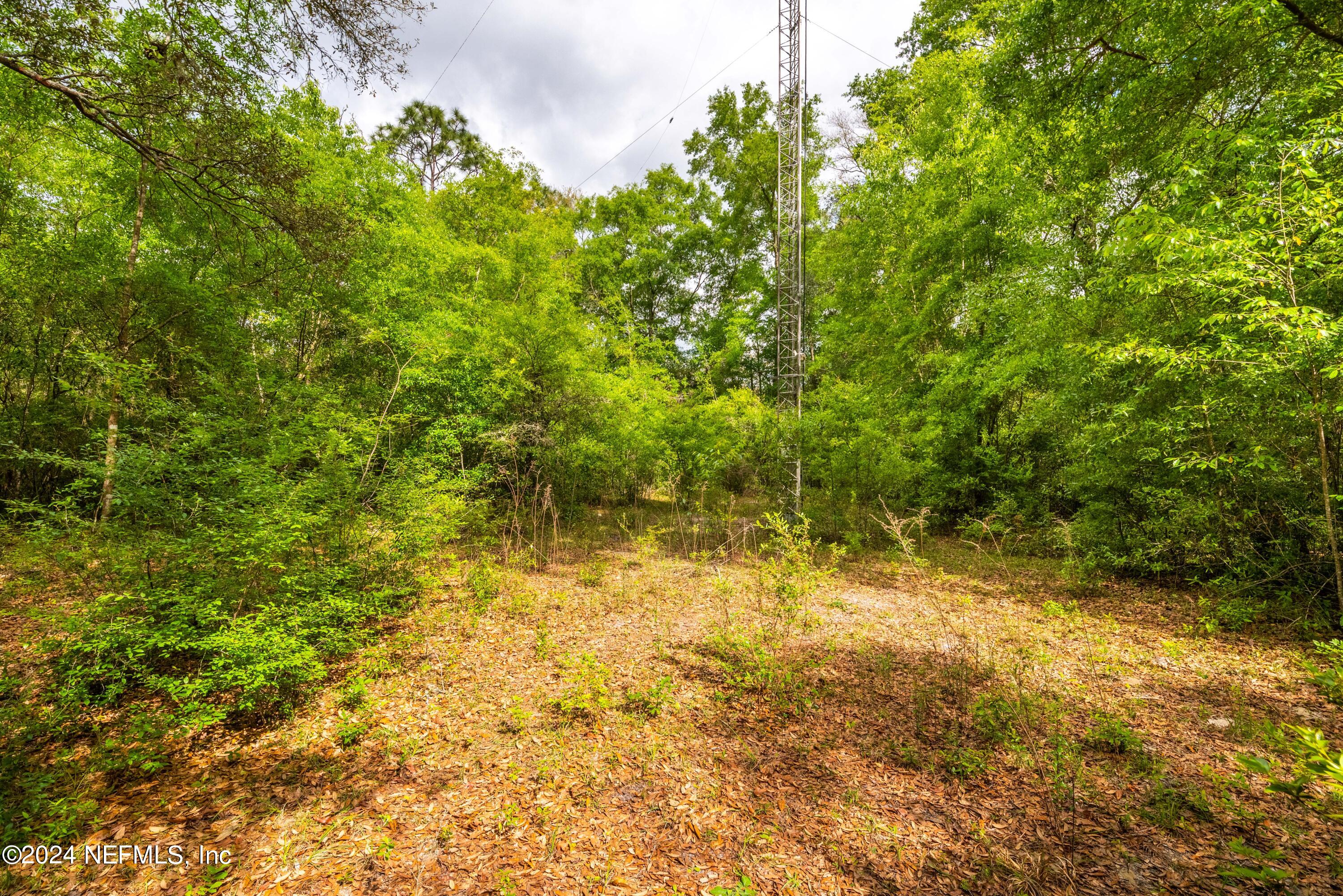 4194 Chokeberry Road Middleburg, FL 32068 - Photo 25 of 30 4194 Chokeberry Rd-31
