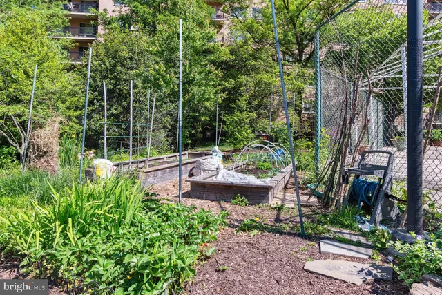 a view of a park with large trees