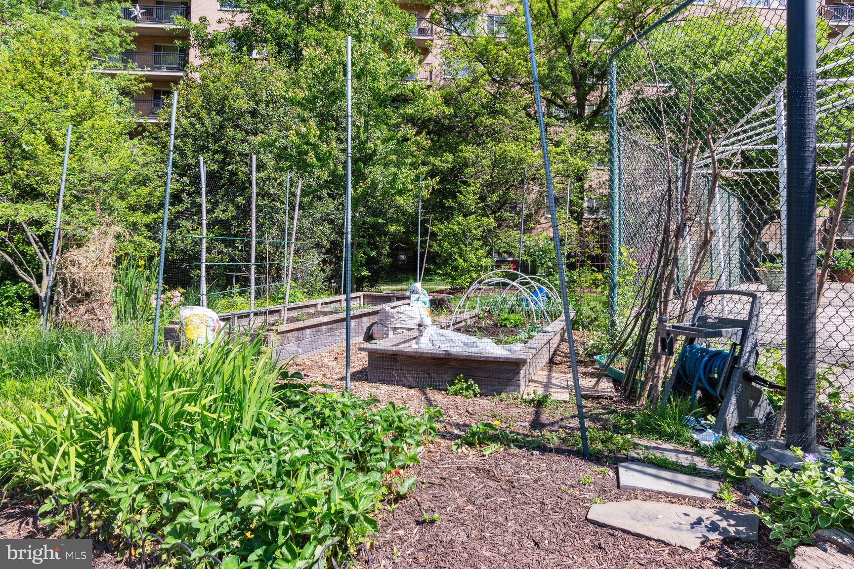 1900 Lyttonsville Road, Unit 702 Silver Spring, MD 20910 - Photo 5 of 20 a view of a park with large trees