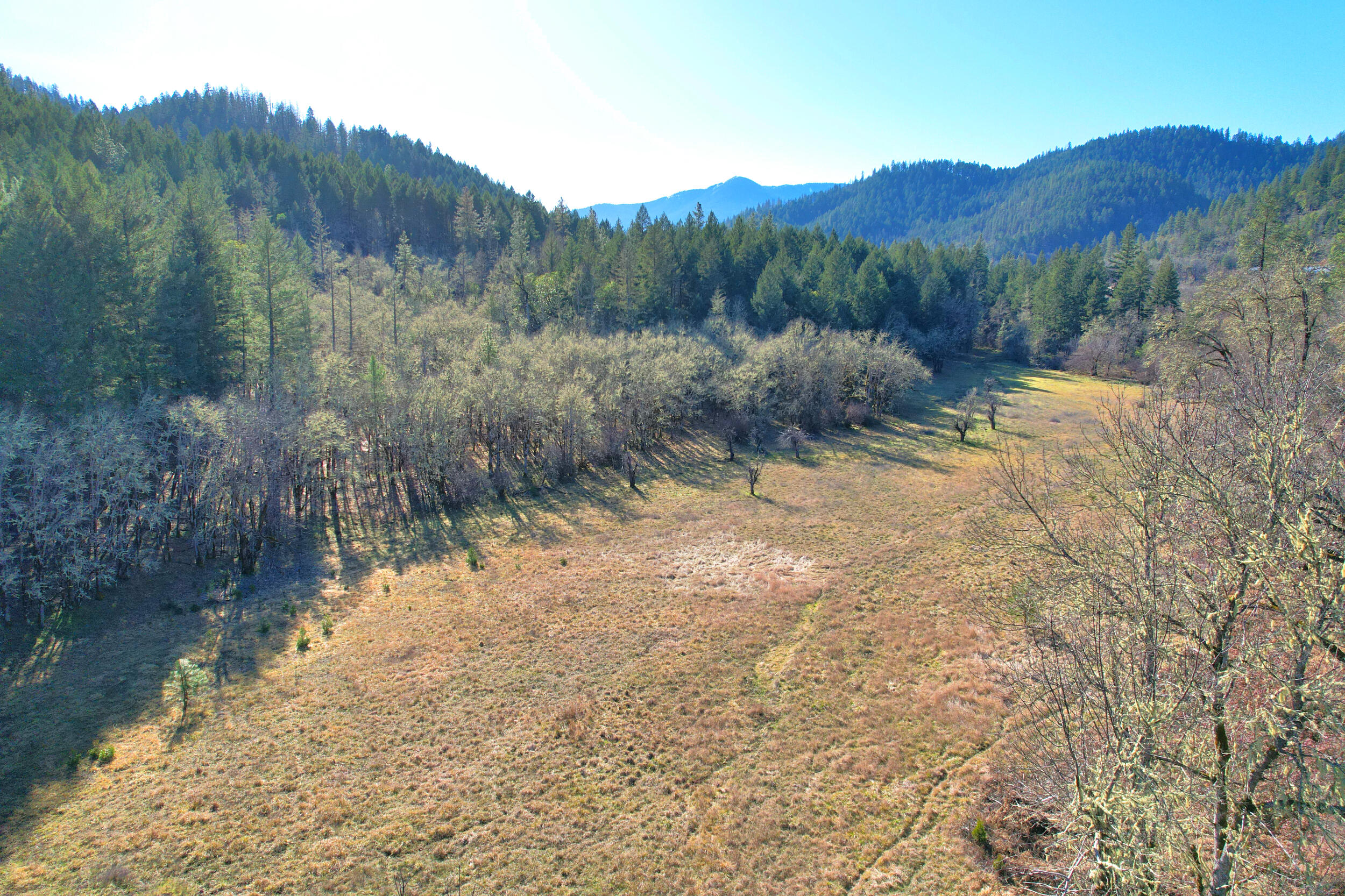 5000 Thompson Creek Road Jacksonville, OR 97530 - Photo 17 of 71 DJI_0833-fotor-20260203103542