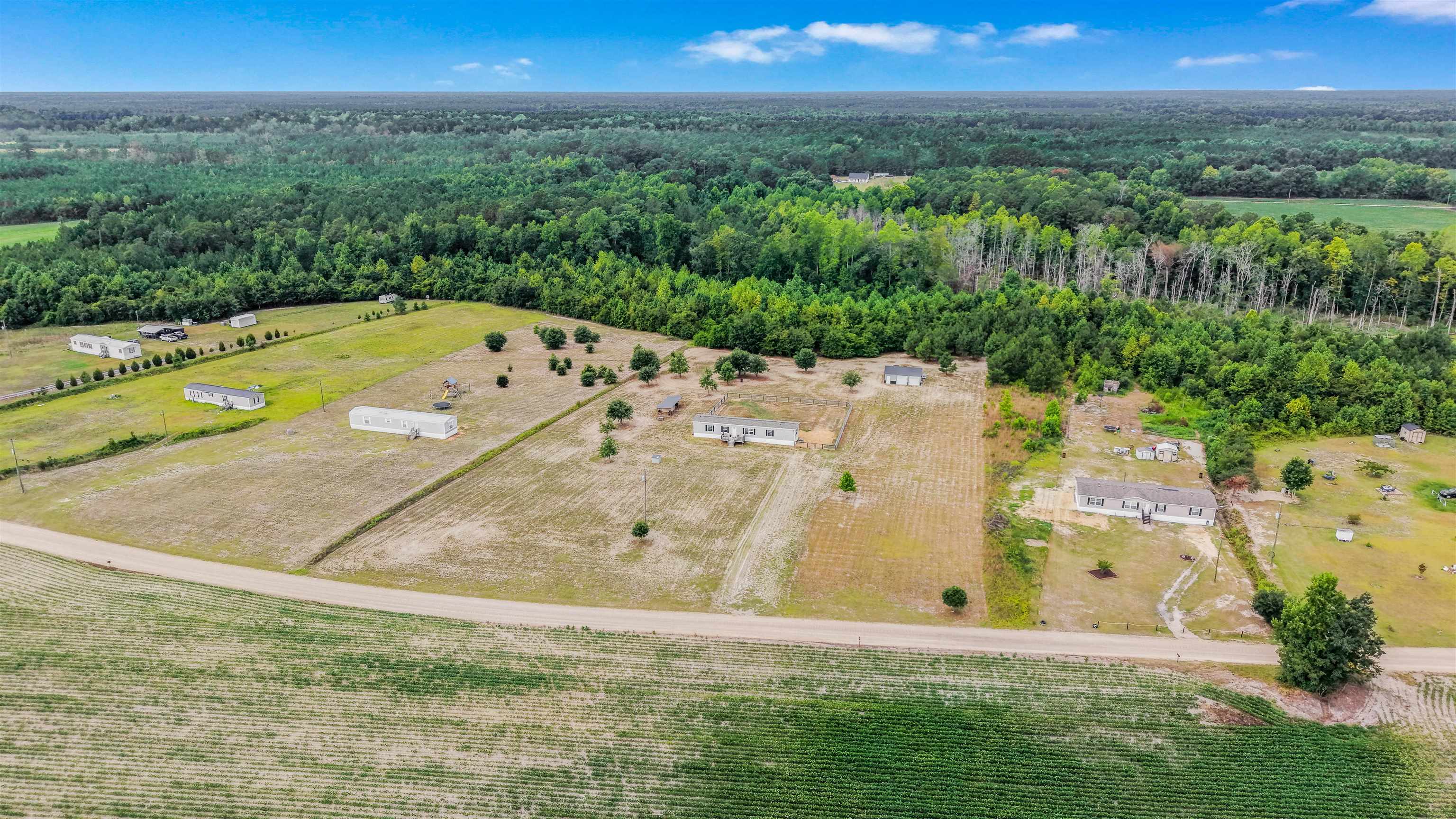 3010 Bert Hanna Road Hemingway, SC 29554 - Photo 33 of 41