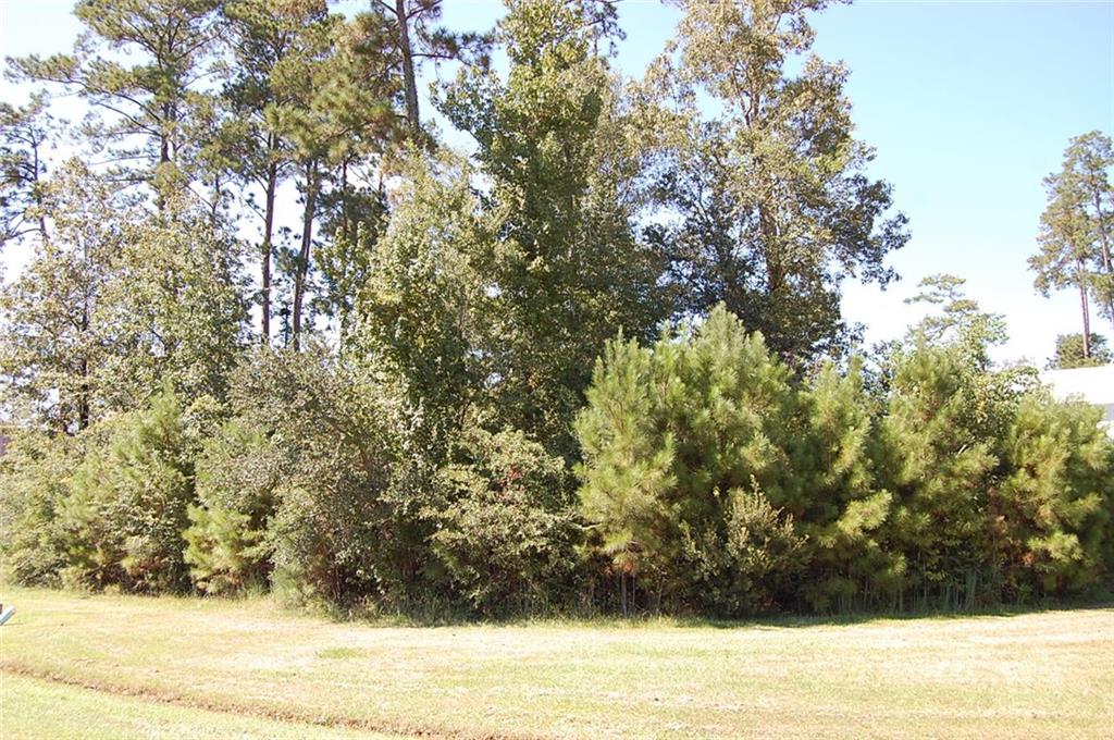 Lot 537 Hummingbird Road Covington, LA 70433 - Photo 1 of 1 Gallery Image 1