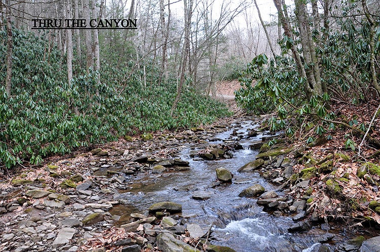 100 Flint Hollow Road Crawley, WV 24931 - Photo 19 of 33 Gallery Image 19