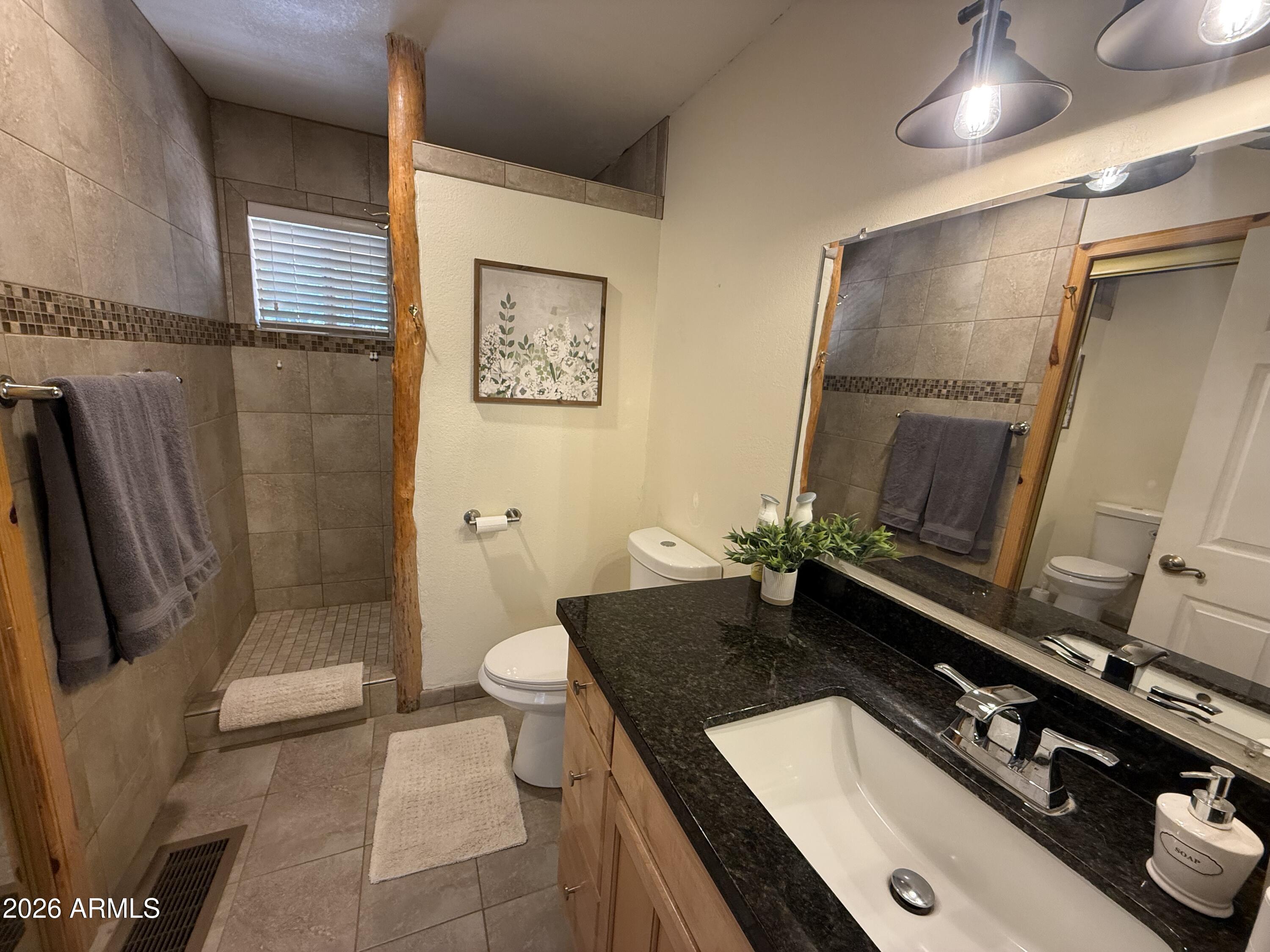 23487 Manzanita Road Crown King, AZ 86343 - Photo 32 of 41 a bathroom with a sink a toilet a mirror and shower