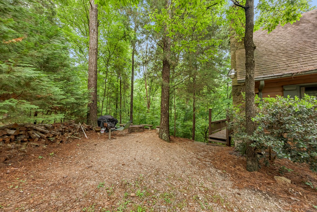 149 Mountain Springs Road Warm Springs, GA 31830 - Photo 43 of 43