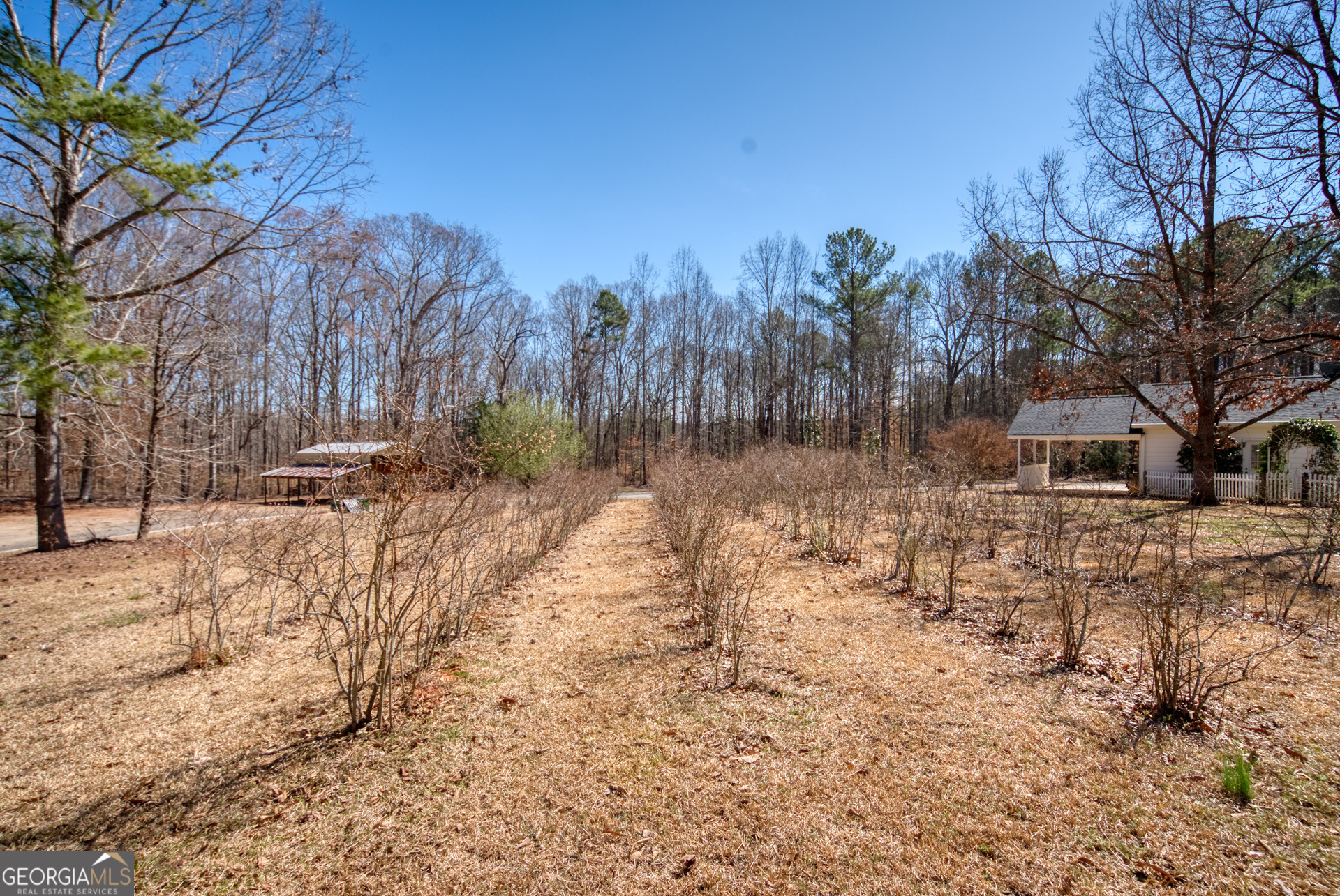 1650 Pierce Dairy Road Madison, GA 30650 - Photo 78 of 85