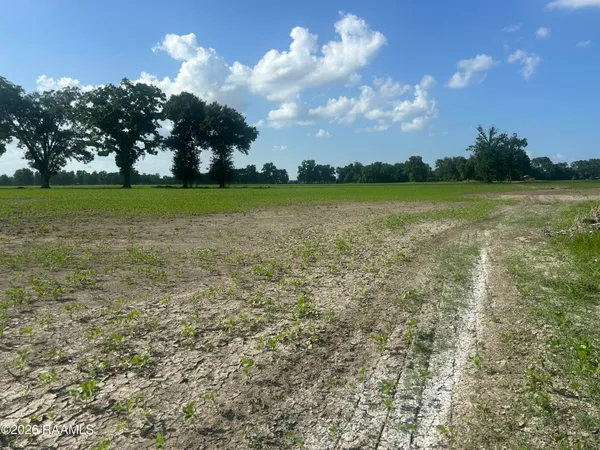 $21,000 | Oscar Rivette Road, Arnaudville, LA 70512