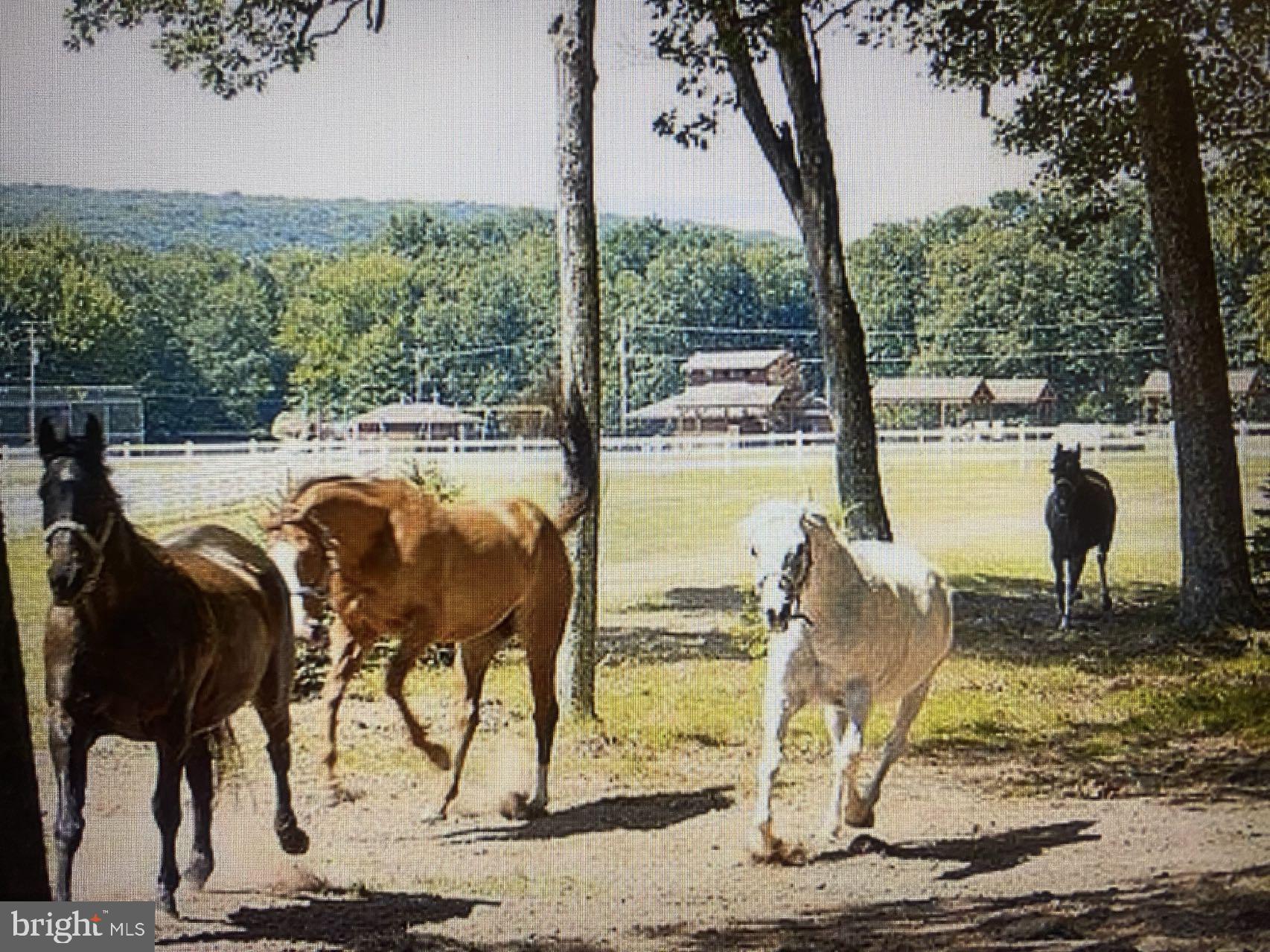 Elk Lane Hazleton, PA 18202 - Photo 12 of 19