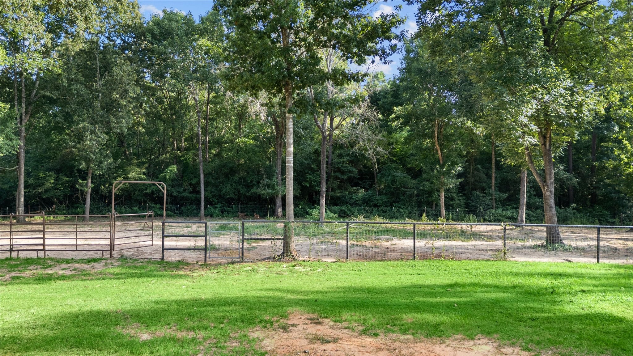 23346 Henson Road Montgomery, TX 77356 - Photo 28 of 32 Back fenced area