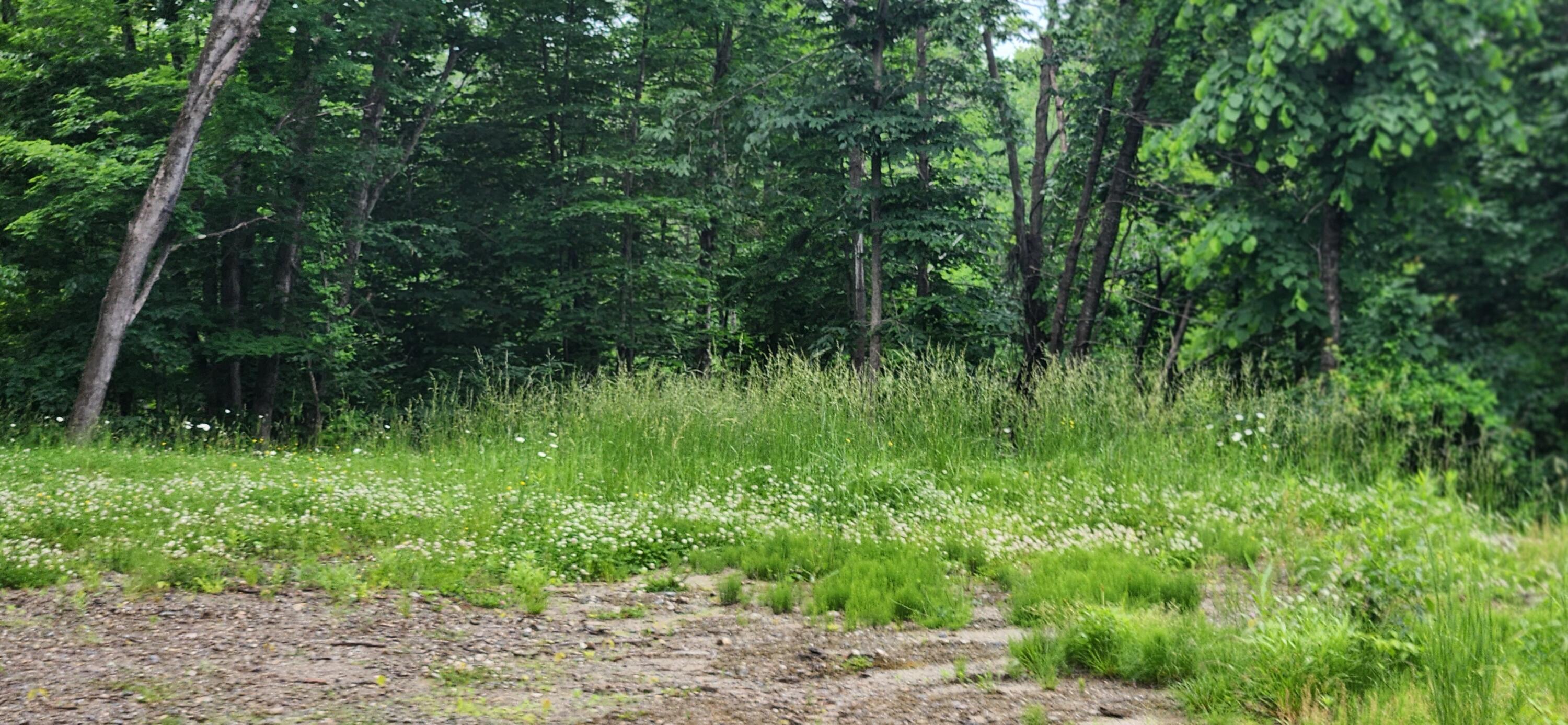 4 Titcomb Hill Road Farmington, ME 04938 - Photo 5 of 5