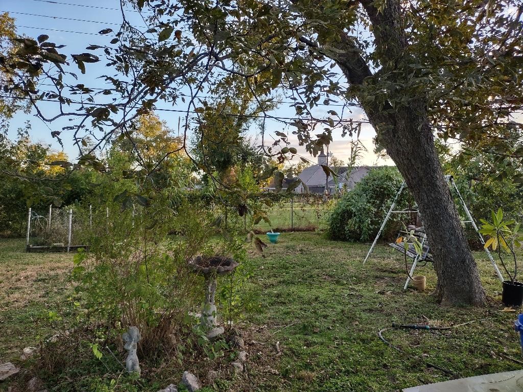 4725 Carleen Road Houston, TX 77092 - Photo 13 of 14 a view of a tree in a yard