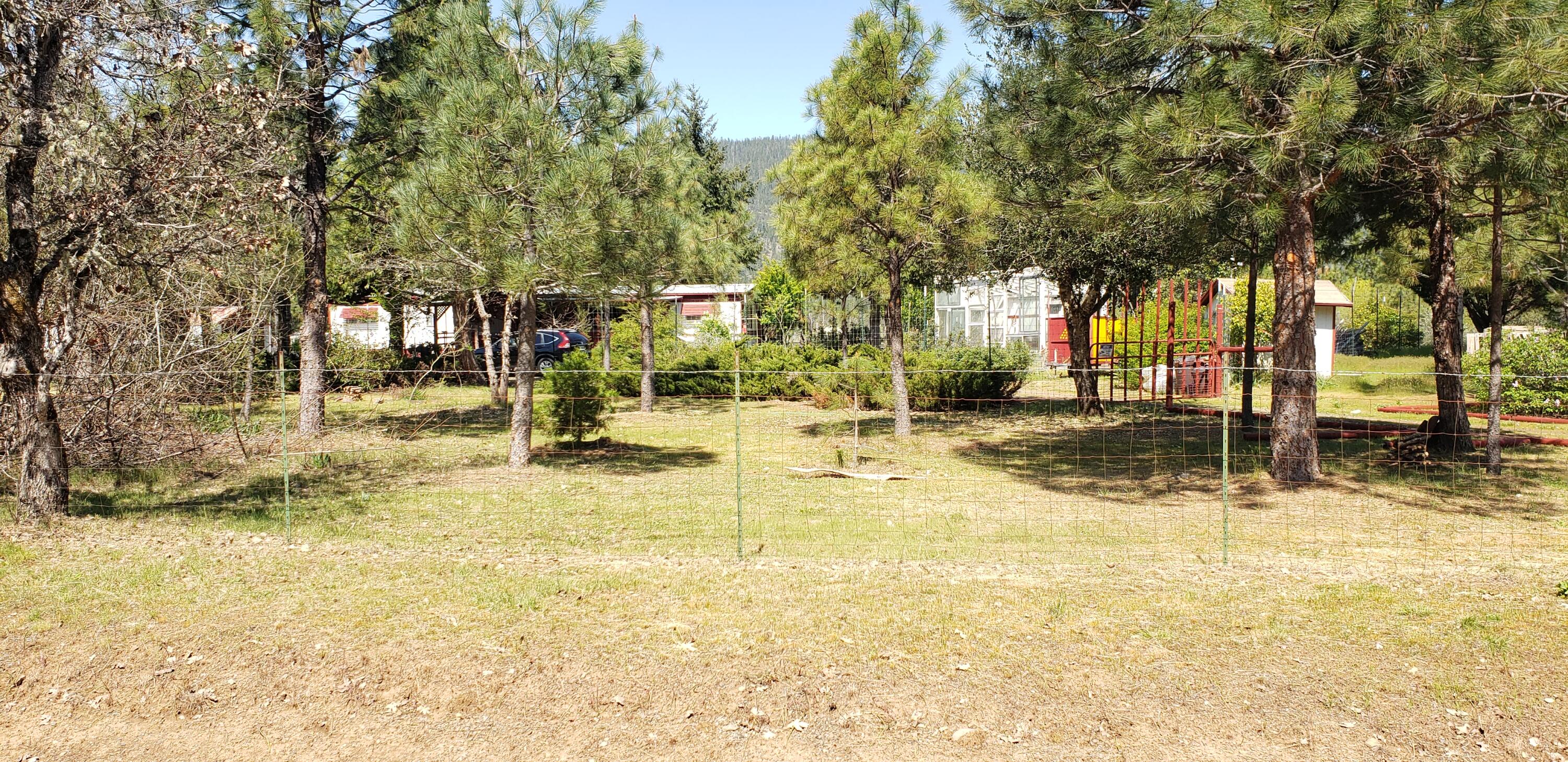 280 Turner Road Cave Junction, OR 97523 - Photo 2 of 38 view from just outside the fenced yard area.