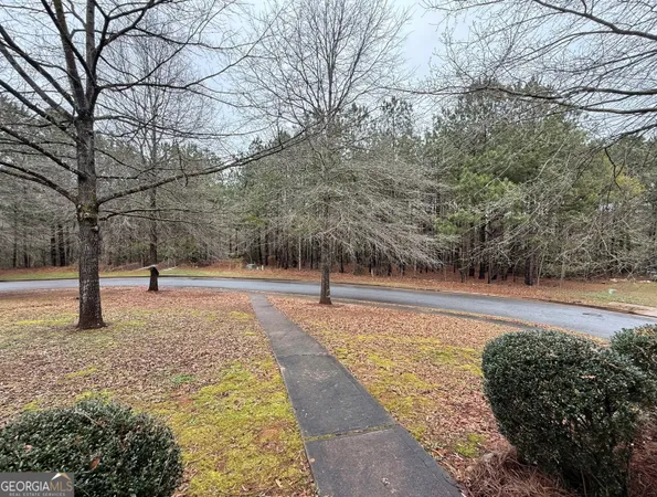 a view of backyard with large trees