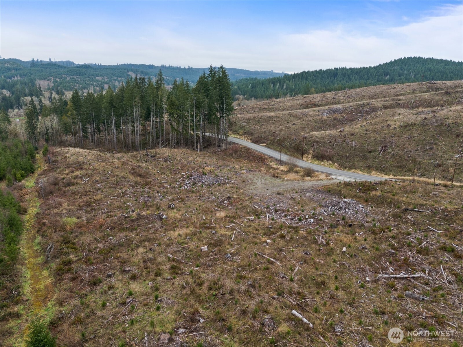 0 Manners Road Rochester, WA 98579 - Photo 3 of 17