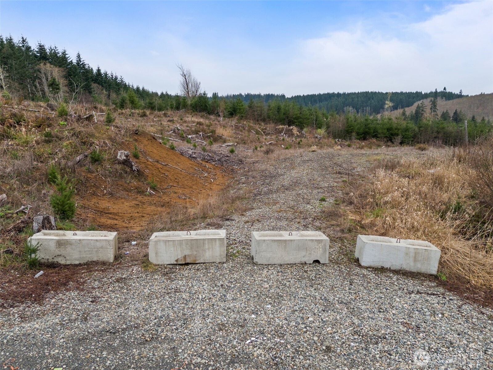 0 Manners Road Rochester, WA 98579 - Photo 7 of 17