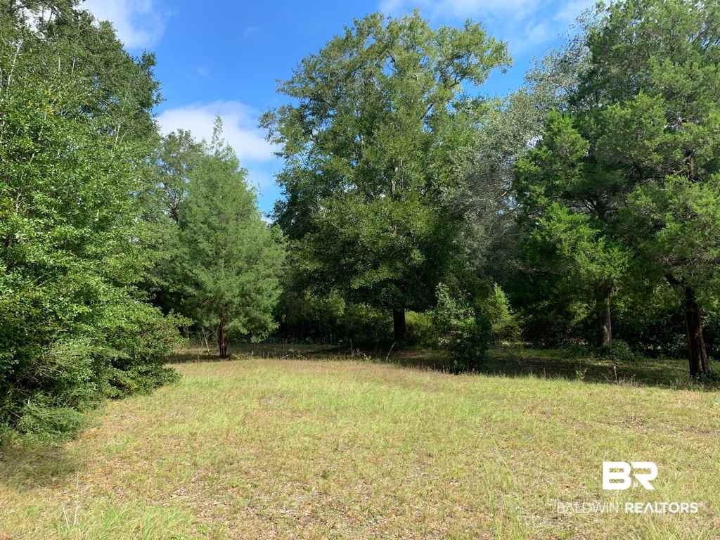 8147 River Road North Foley, AL 36535 - Photo 1 of 1