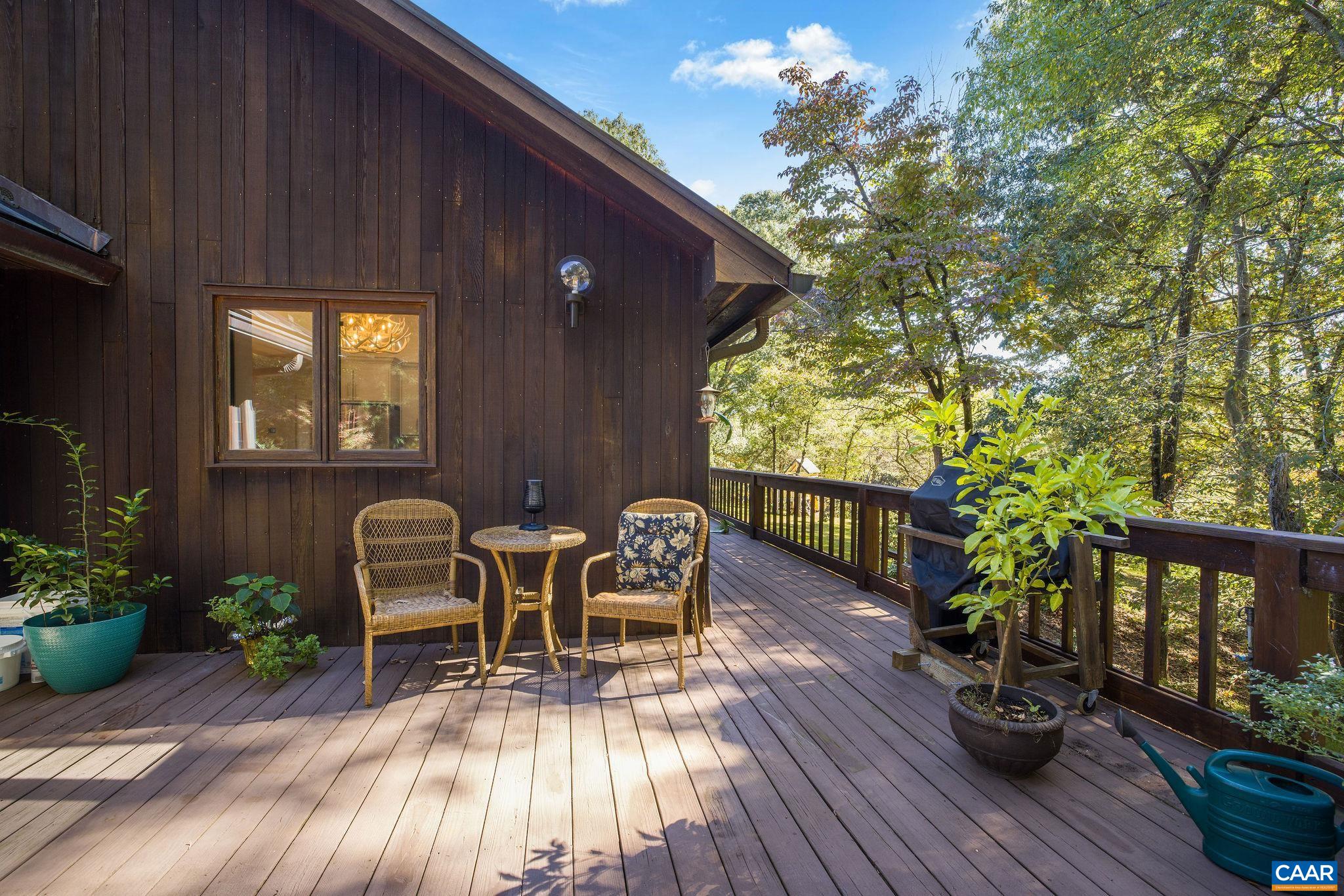 340 Grassmere Road Charlottesville, VA 22903 - Photo 68 of 74