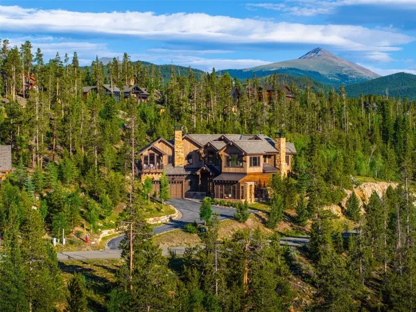 a view of a city with lush green forest