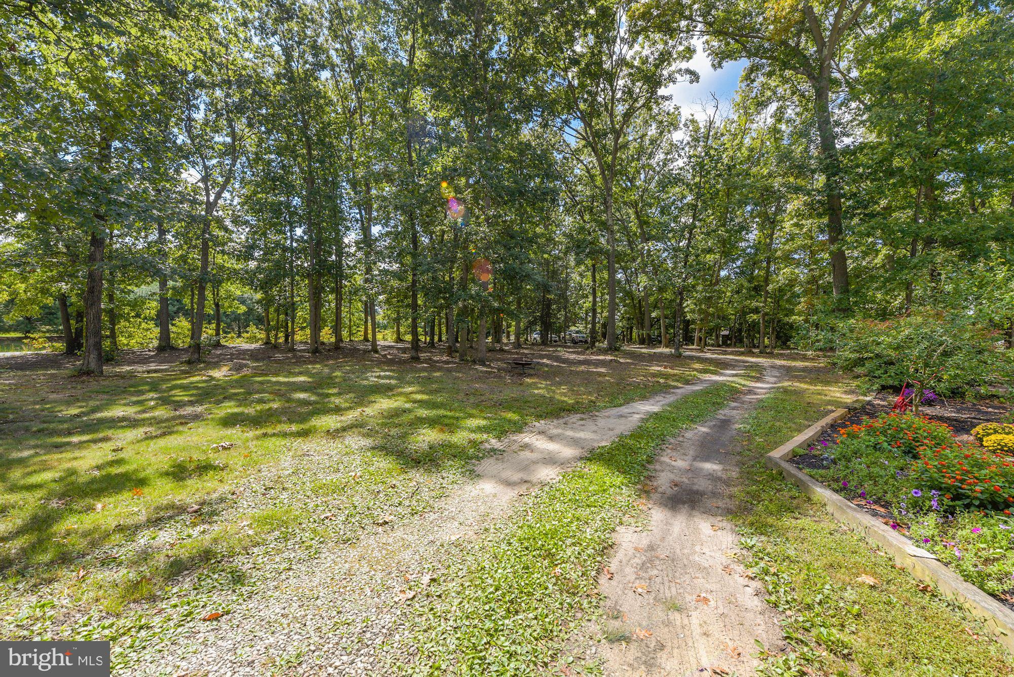 433 Porchtown Road Elmer, NJ 08318 - Photo 22 of 30 Large Circular Driveway