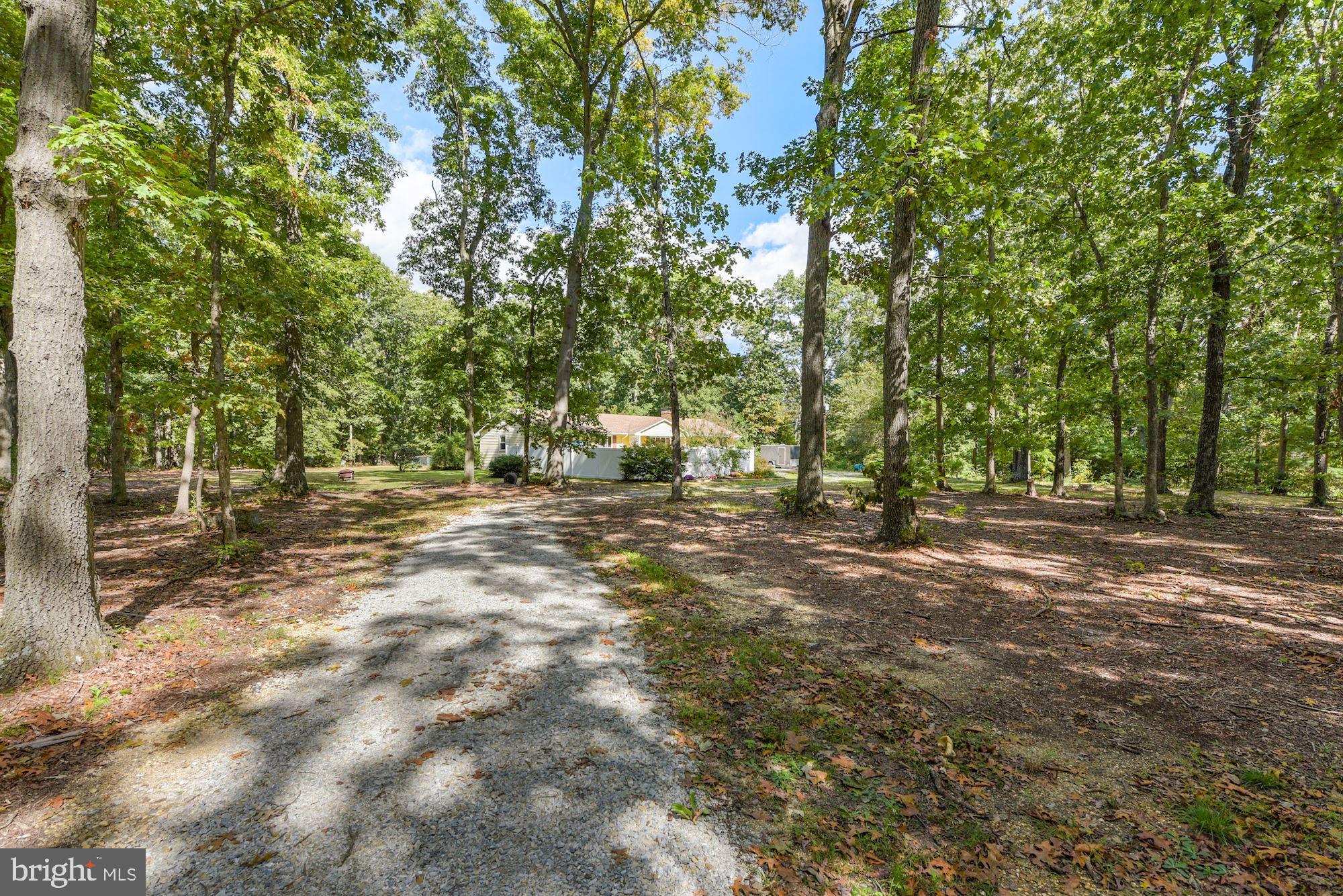 433 Porchtown Road Elmer, NJ 08318 - Photo 30 of 30 Front Drive to Welcome Home