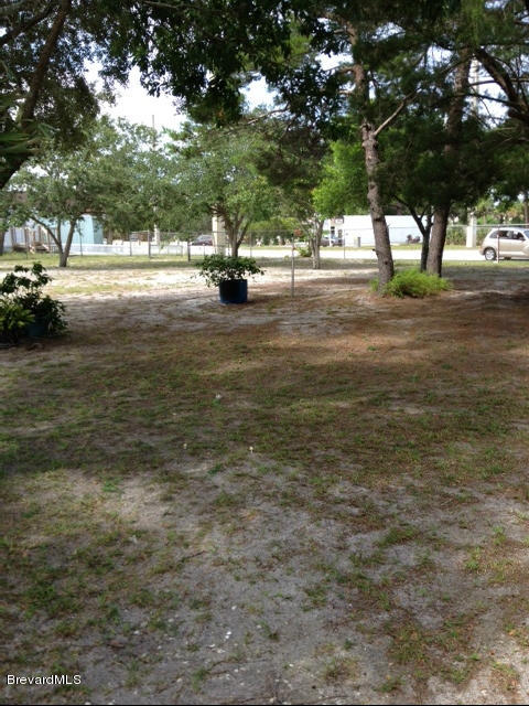 922 Clearlake Road Cocoa, FL 32922 - Photo 6 of 31 a view of yard with swimming pool and green space