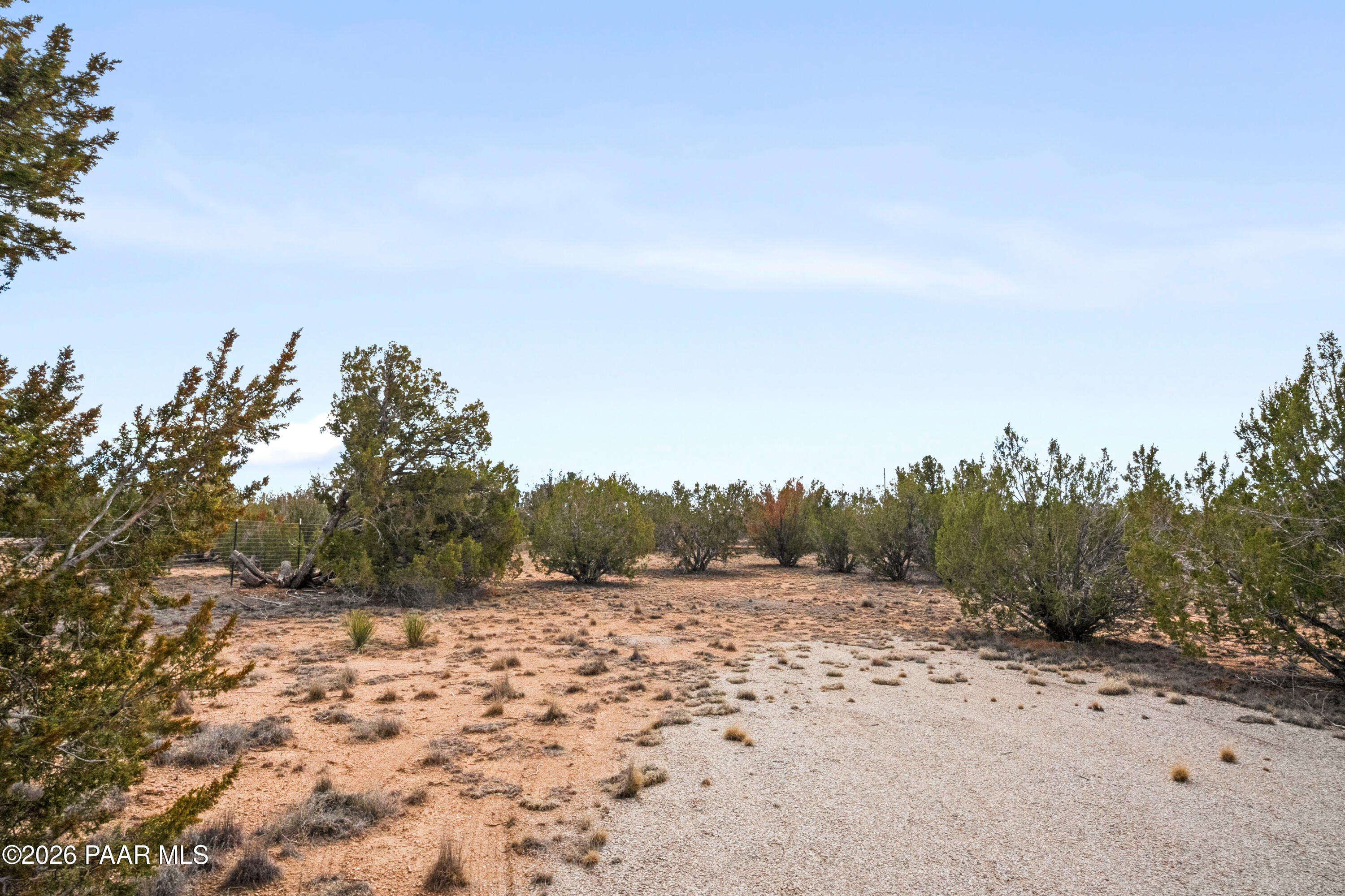 25815 Fort Rock Road Seligman, AZ 86337 - Photo 19 of 30 a view of a dry yard with trees in the background