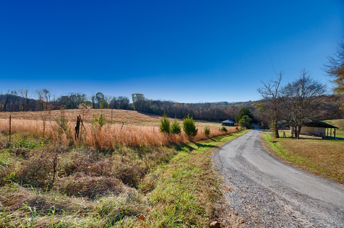 0 Lofton Hall Road Ardmore, TN 38449 - Photo 1 of 16 a view of a backyard