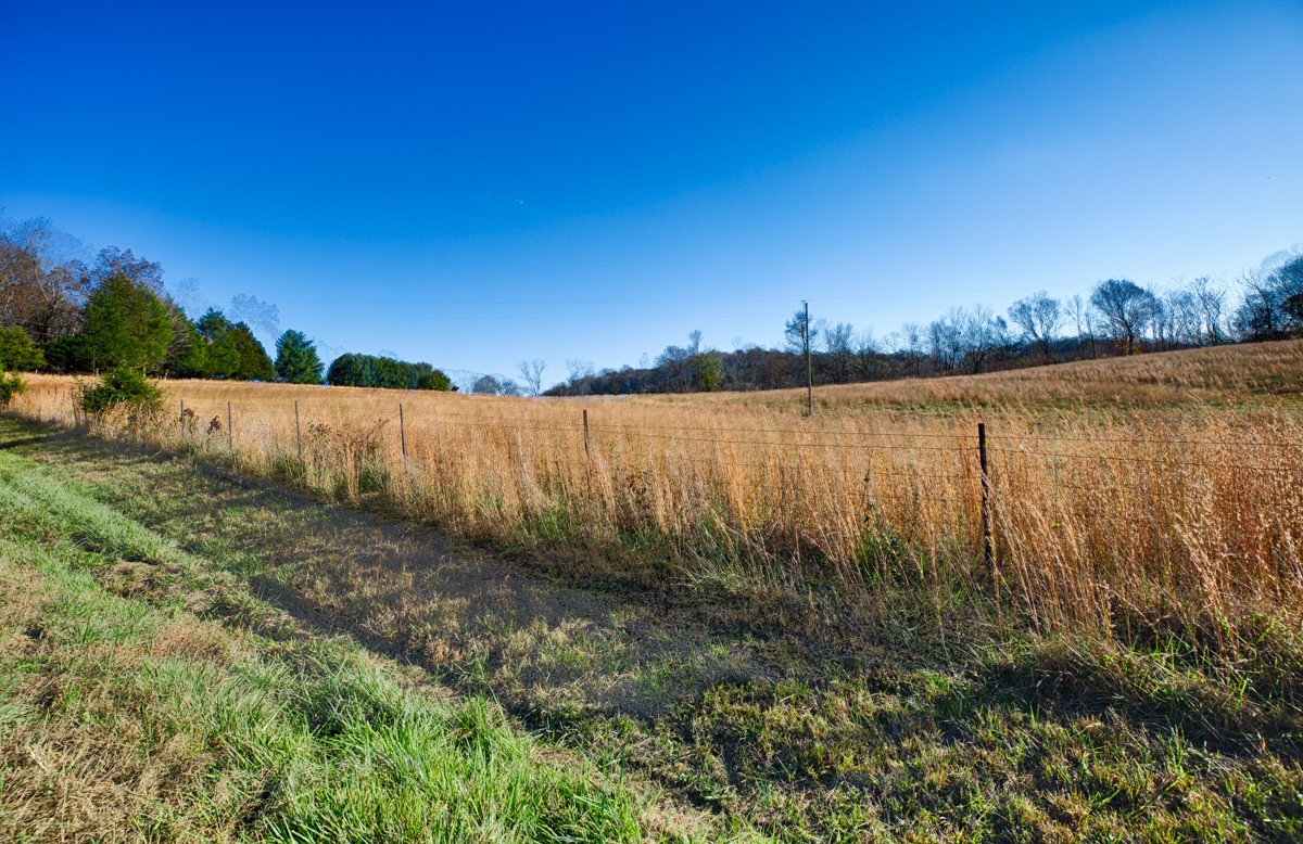 0 Lofton Hall Road Ardmore, TN 38449 - Photo 4 of 16 a view of a lake with houses in the back