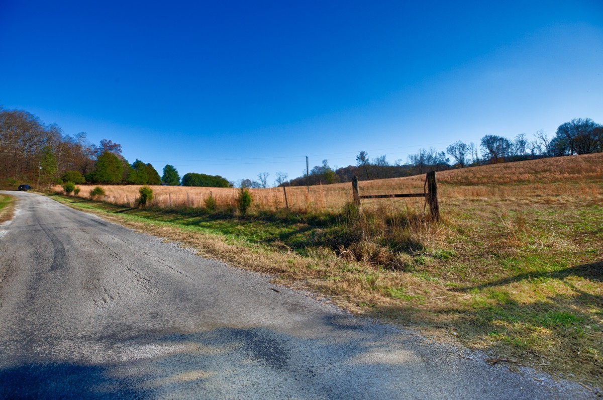 0 Lofton Hall Road Ardmore, TN 38449 - Photo 5 of 16 a view of a pathway with a yard