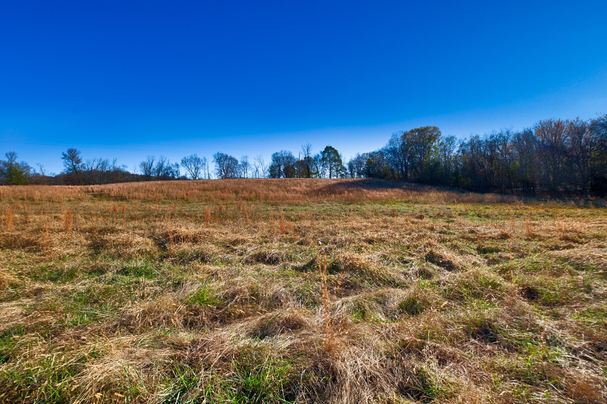 0 Lofton Hall Road Ardmore, TN 38449 - Photo 9 of 16 a view of a lake