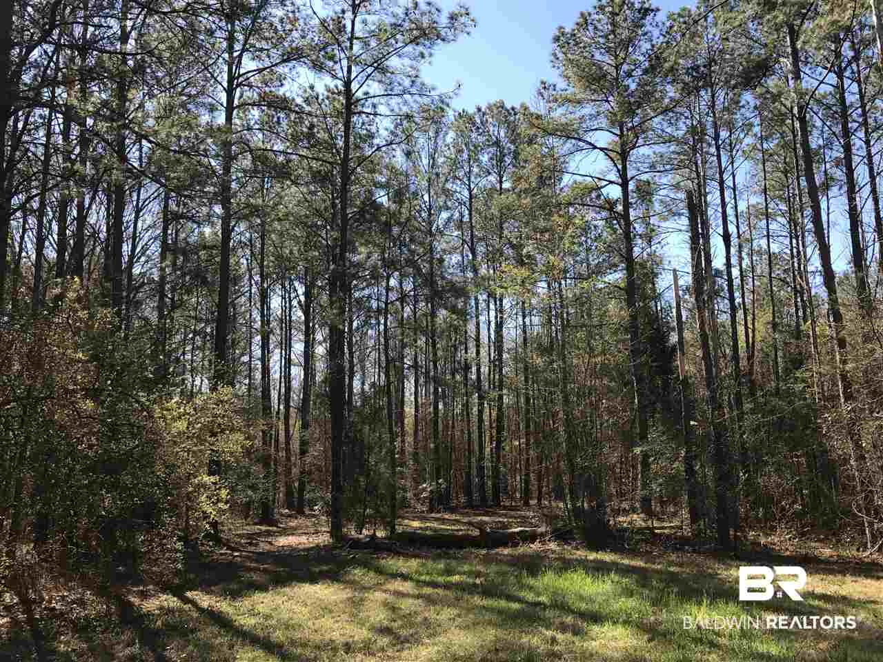 1478 Ridge Road Greenville, AL 36037 - Photo 30 of 50