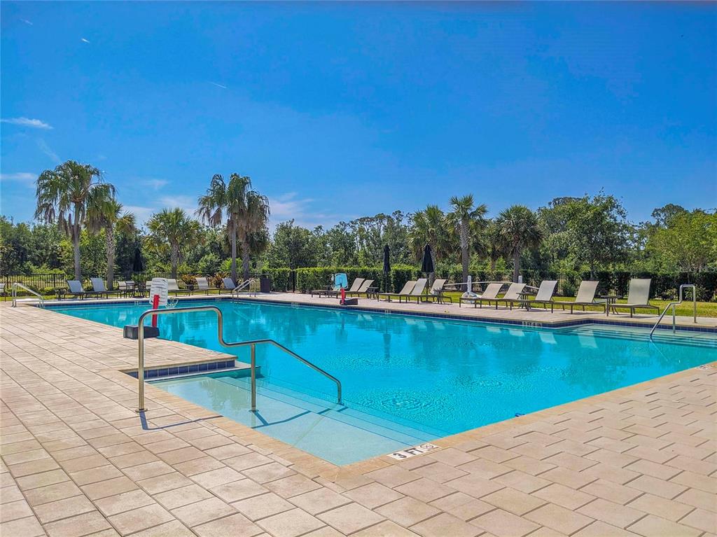 3324 Big Sky Way Lakewood Ranch, FL 34211 - Photo 38 of 49 a park view with a lake view