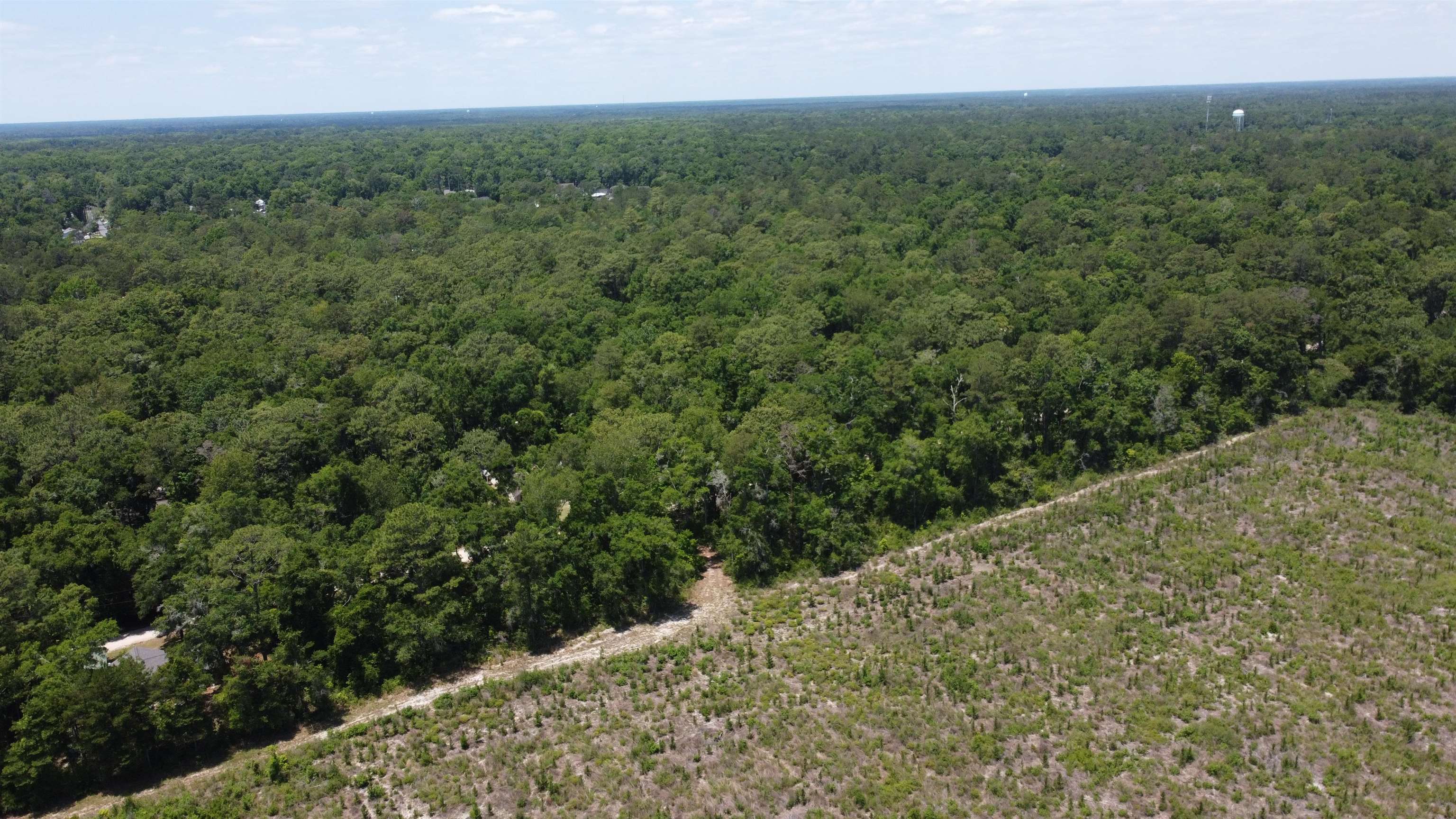 Xx Iroquois Road Crawfordville, FL 32327 - Photo 5 of 14