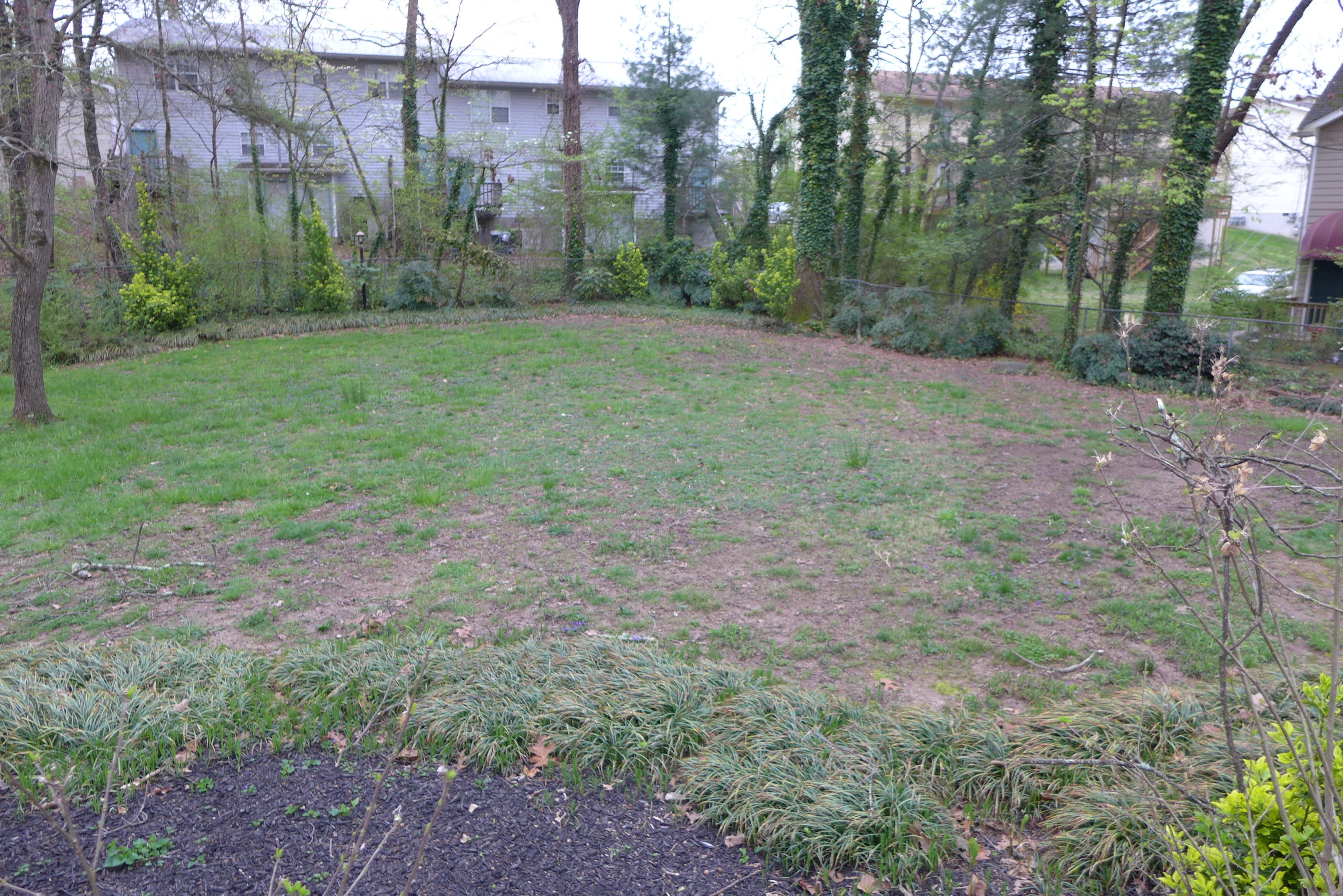 5004 Delashmitt Road Hixson, TN 37343 - Photo 15 of 18 Back yard