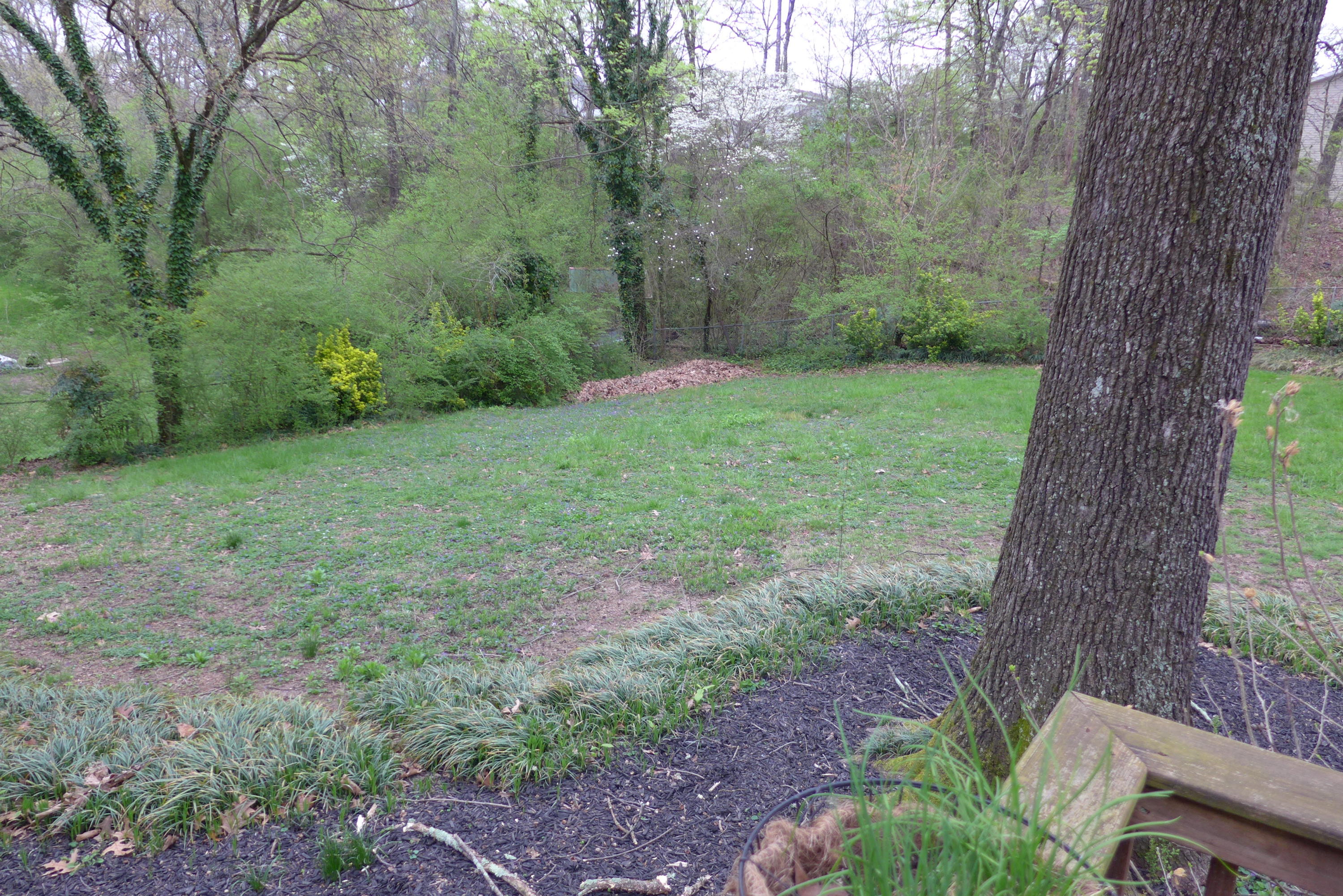 5004 Delashmitt Road Hixson, TN 37343 - Photo 16 of 18 Back Yard