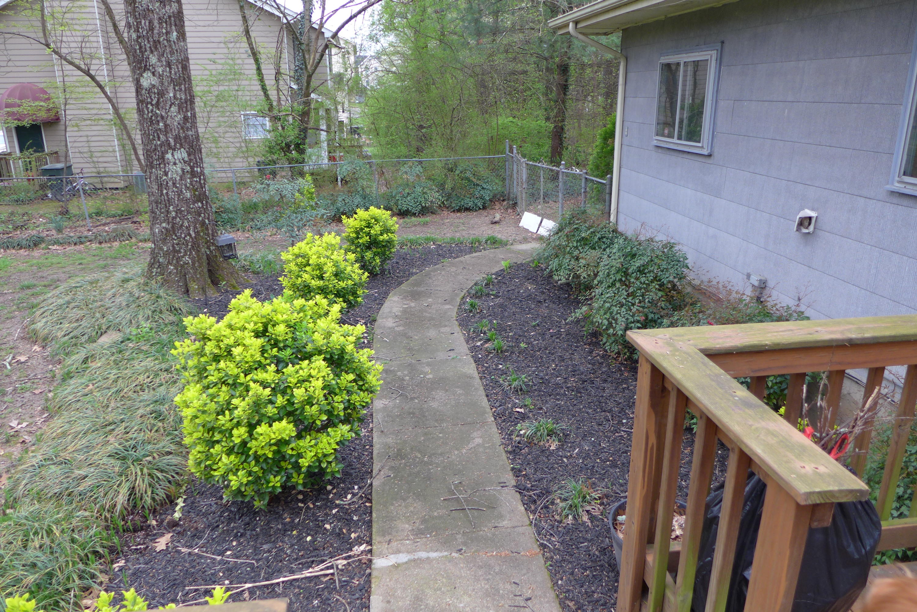 5004 Delashmitt Road Hixson, TN 37343 - Photo 17 of 18 Back Yard