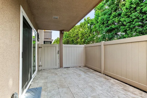a view of backyard and tree