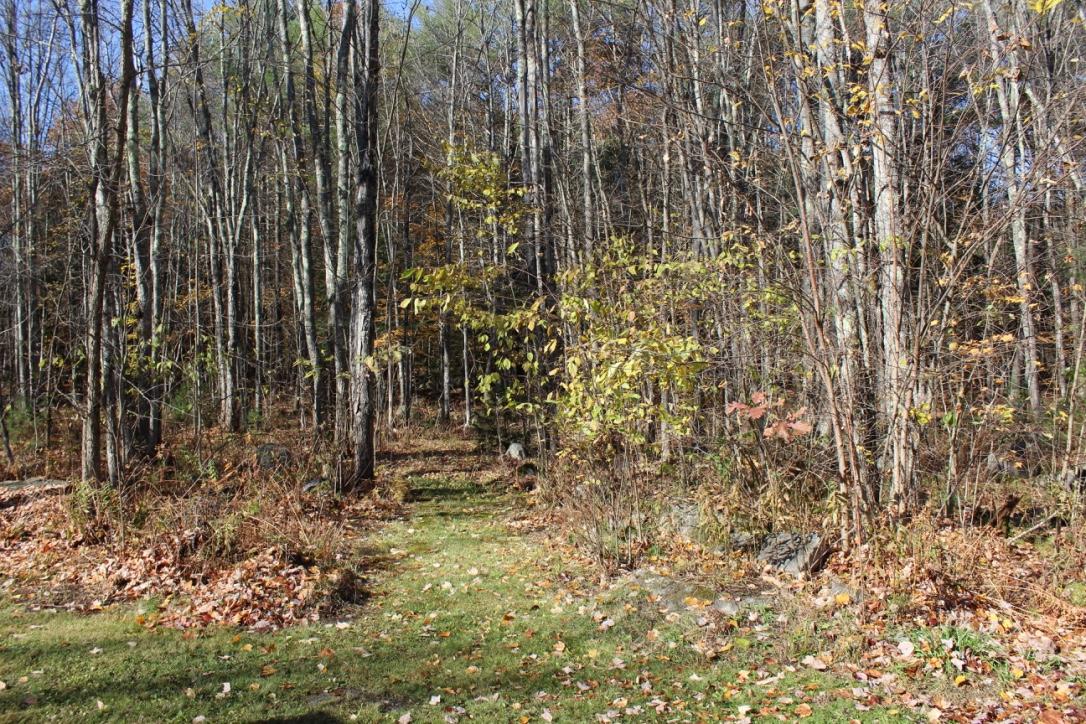 1059 Maplewood Road West Newfield, ME 04095 - Photo 10 of 45 thumb_IMG_8195_1024
