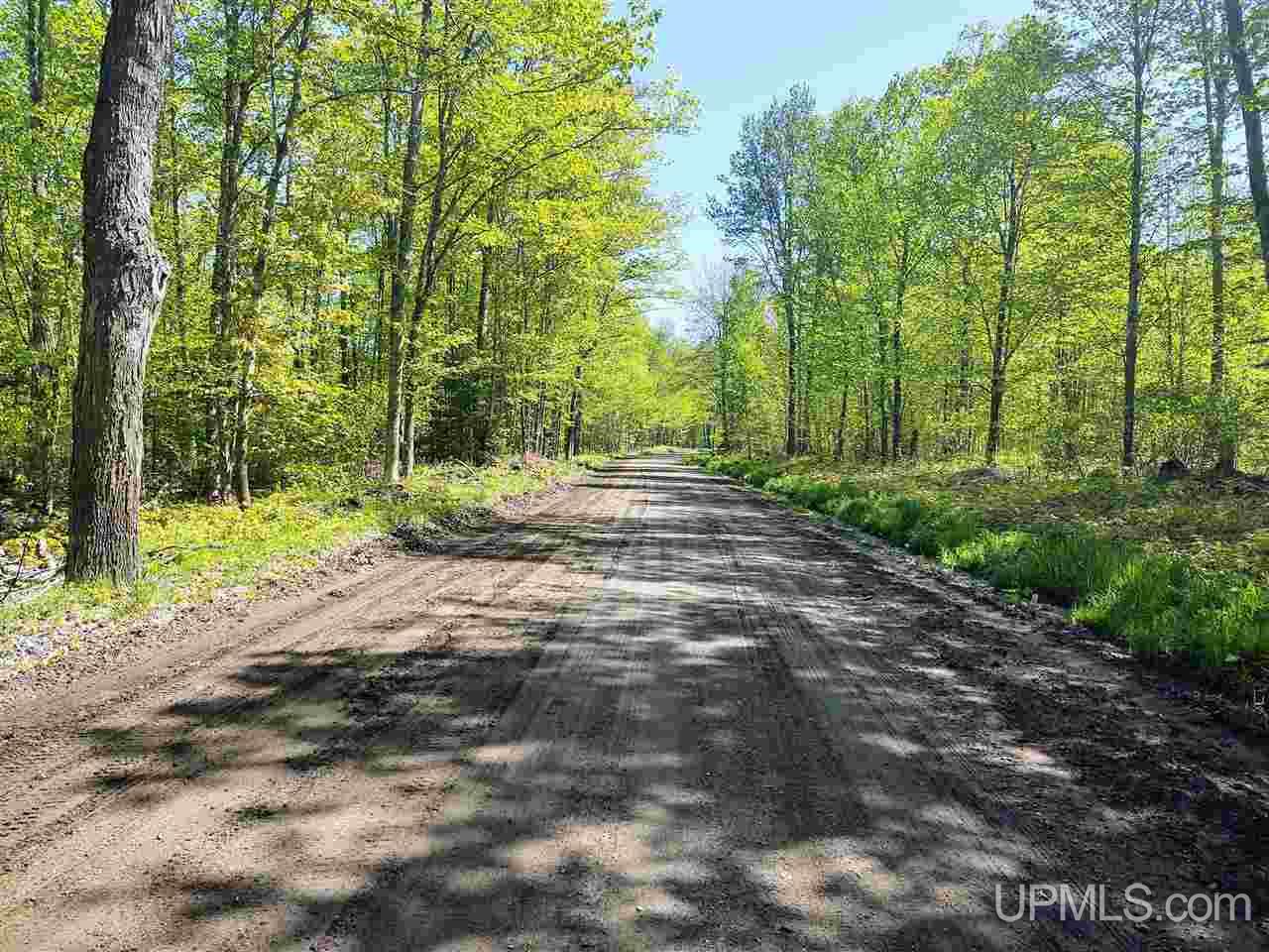 Tbd-parcel Point Abbaye Road Lanse, MI 49946 - Photo 36 of 39