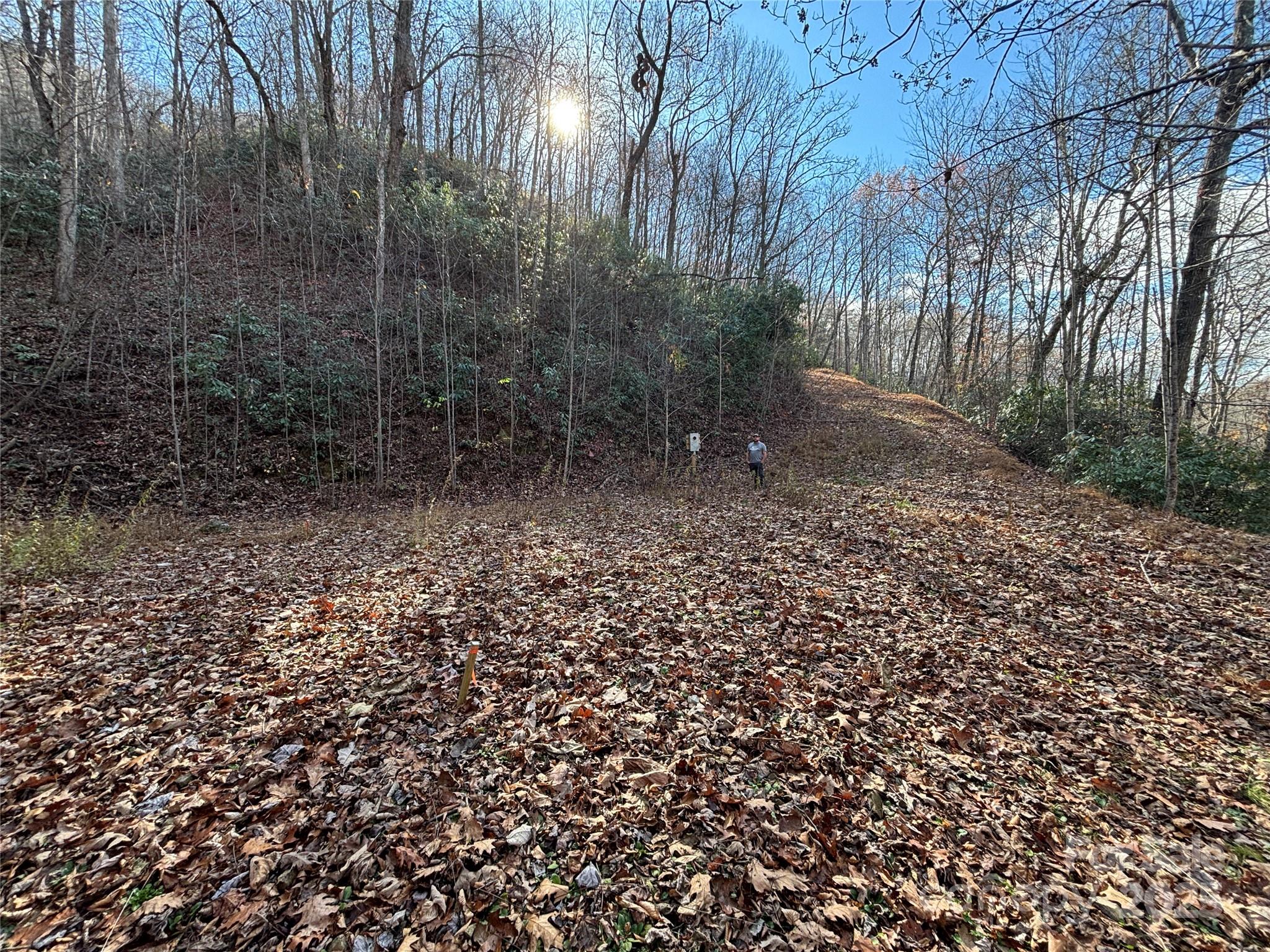 Off Houston Farm Road Bryson City, NC 28713 - Photo 1 of 18 a view of a forest that has a tree